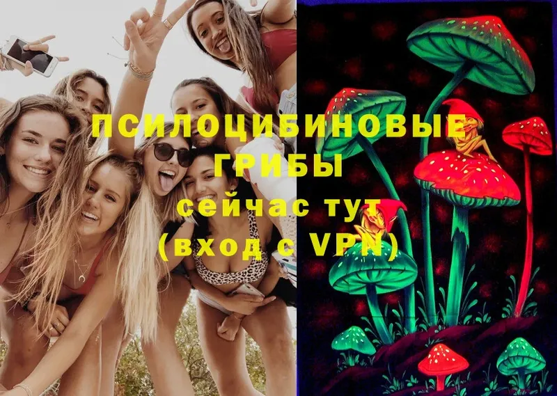 Псилоцибиновые грибы MAGIC MUSHROOMS  Рассказово 